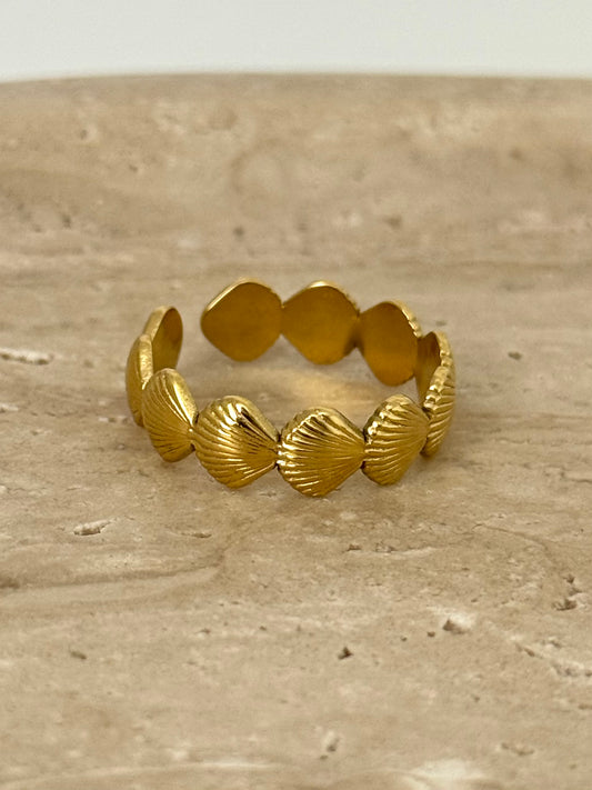 Shell Ring