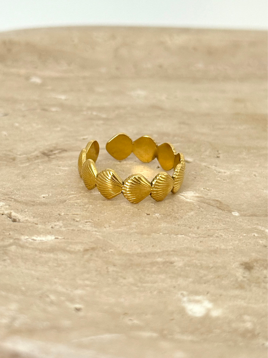 Shell Ring